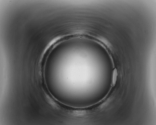 X0000086261118200704051256