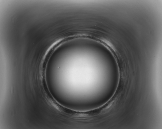 X0000086261119200704051256