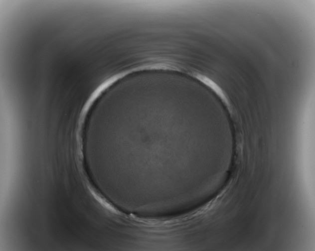X0000086261120200704051256