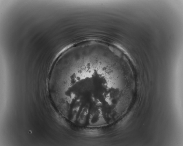 X0000086261121200704051256