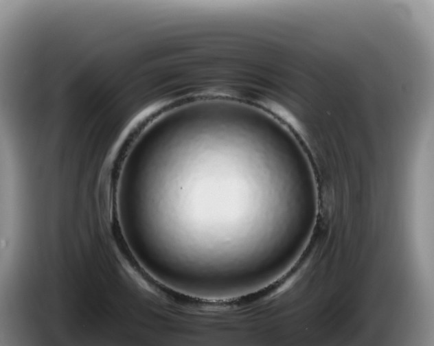X0000086261123200704051256