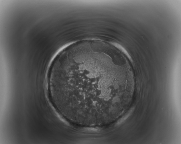 X0000086261125200704051256