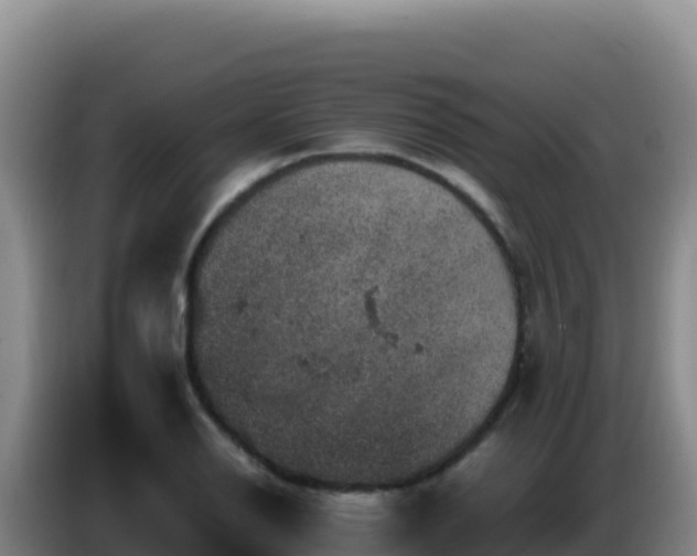 X0000086261126200704051256