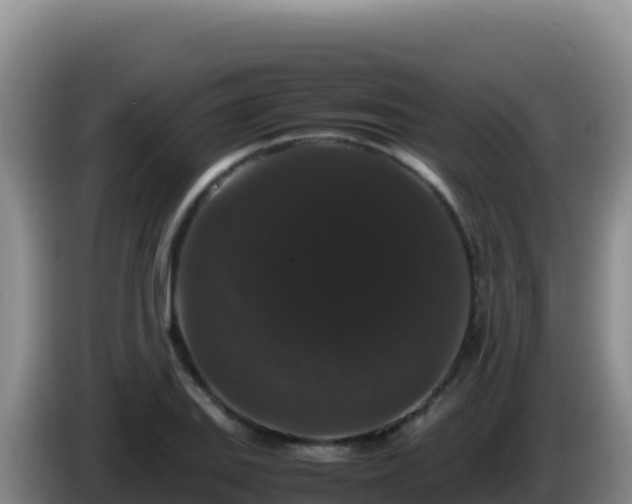 X0000086261127200704051256