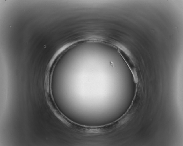 X0000086261128200704051257
