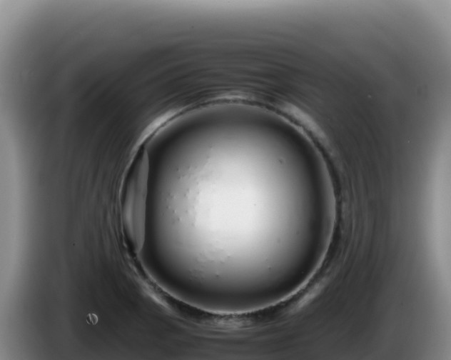 X0000086261129200704051257