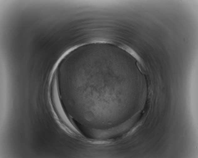 X0000086261132200704051257