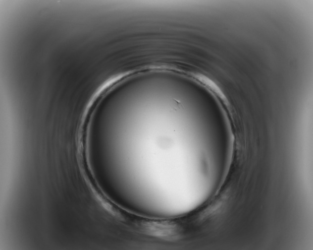 X0000086261133200704051257