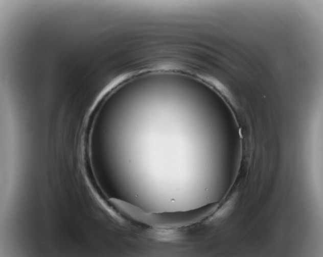 X0000086261134200704051257