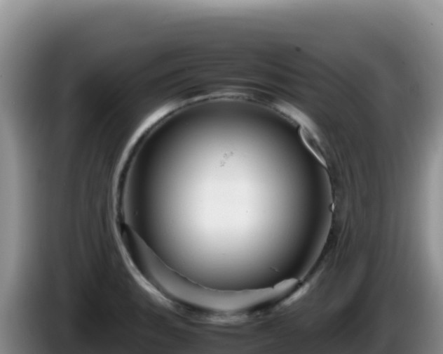 X0000086261135200704051257
