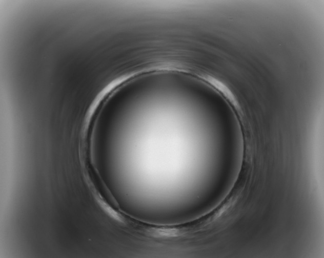 X0000086261136200704051257
