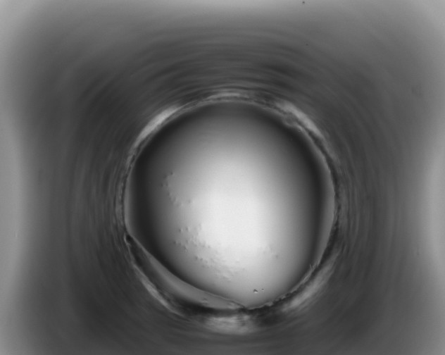 X0000086261137200704051257