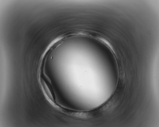 X0000086261139200704051257