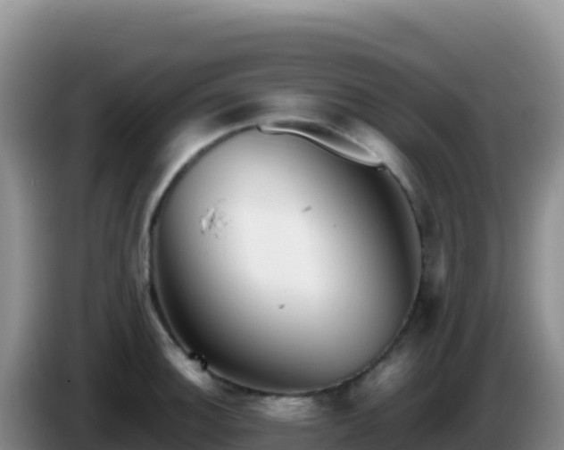 X0000086261140200704051257