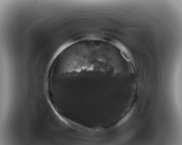 X0000086261141200704051257