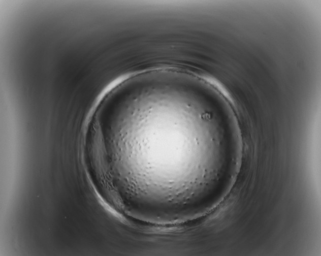 X0000086261143200704051257