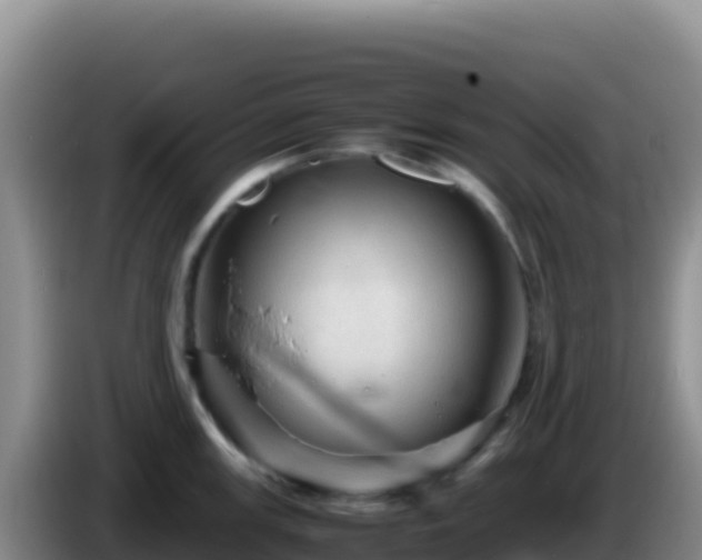 X0000086261147200704051257