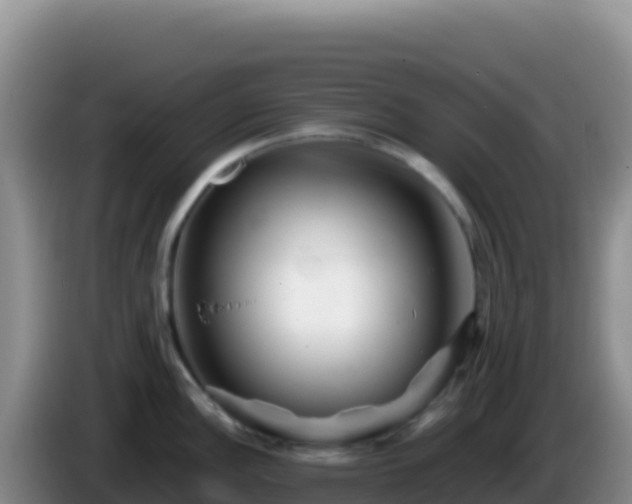 X0000086261148200704051257