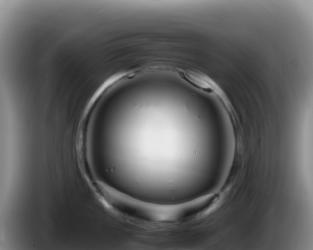 X0000086261149200704051257