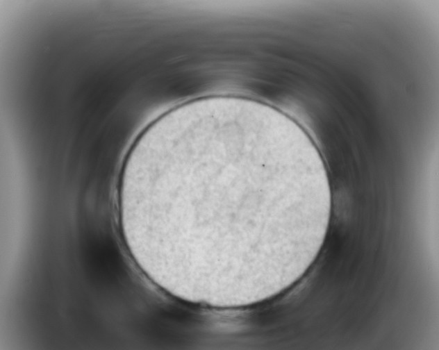 X0000086261150200704051257