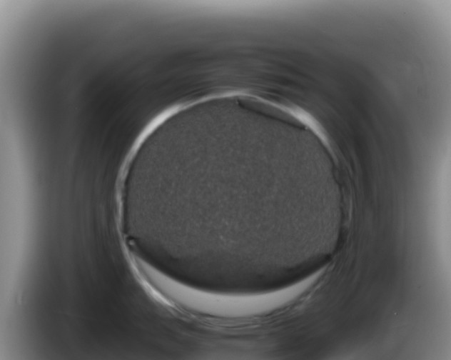 X0000086261151200704051257