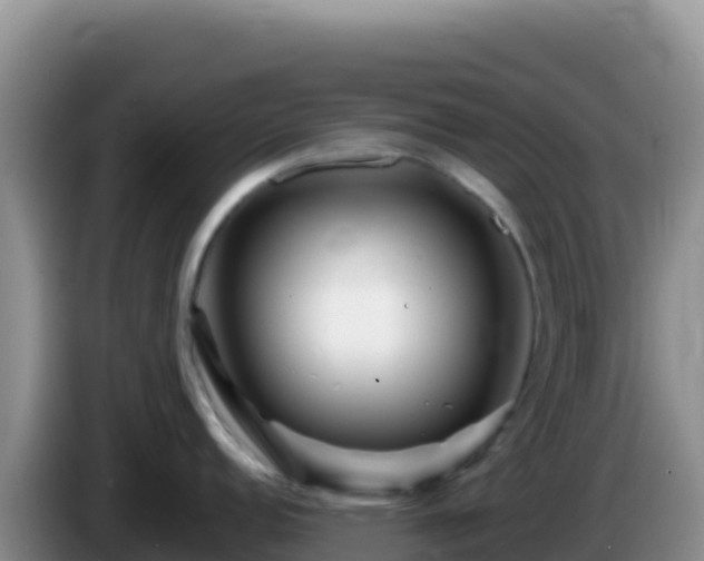 X0000086261152200704051257