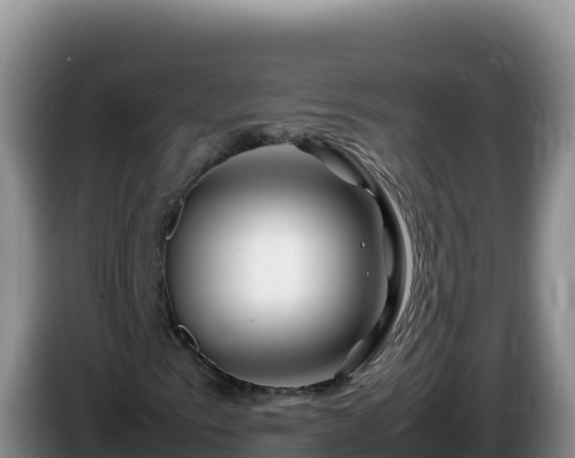 X0000086261153200704051256