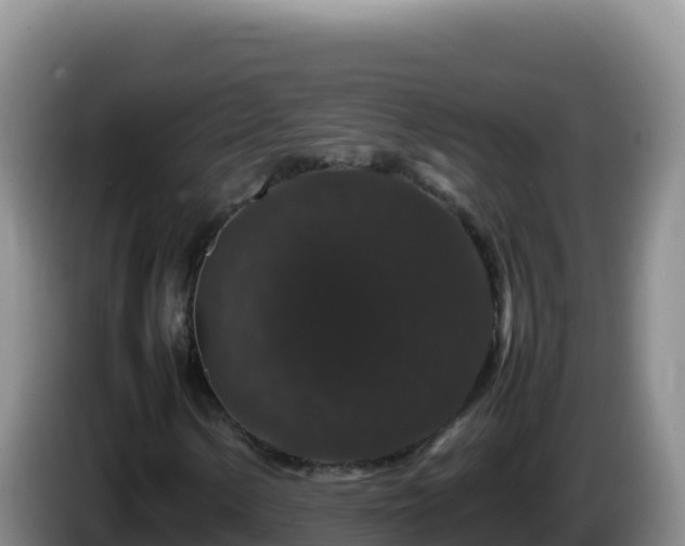 X0000086261154200704051256