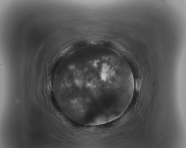 X0000086261155200704051256