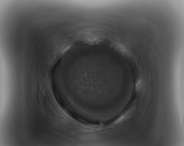 X0000086261156200704051256