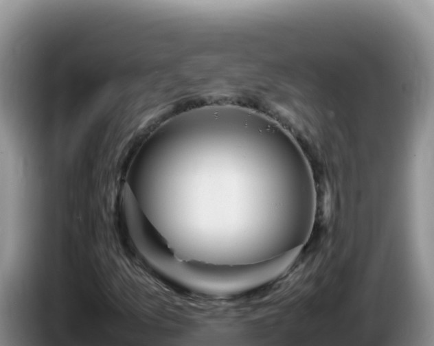 X0000086261157200704051256