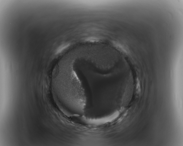 X0000086261158200704051256