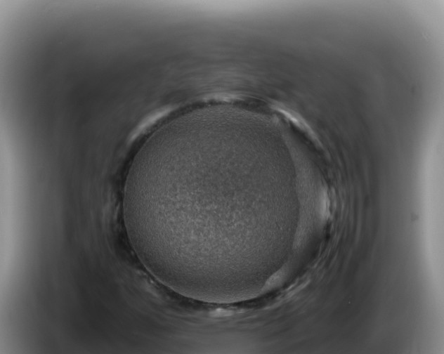 X0000086261160200704051256
