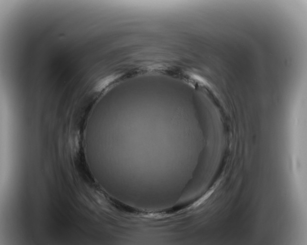 X0000086261161200704051256