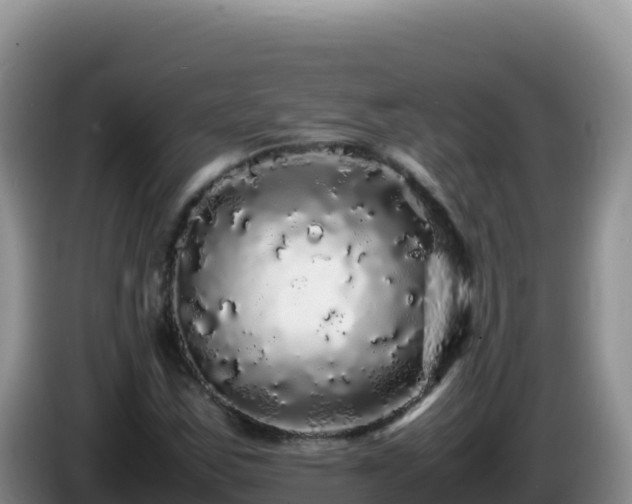 X0000086261163200704051256