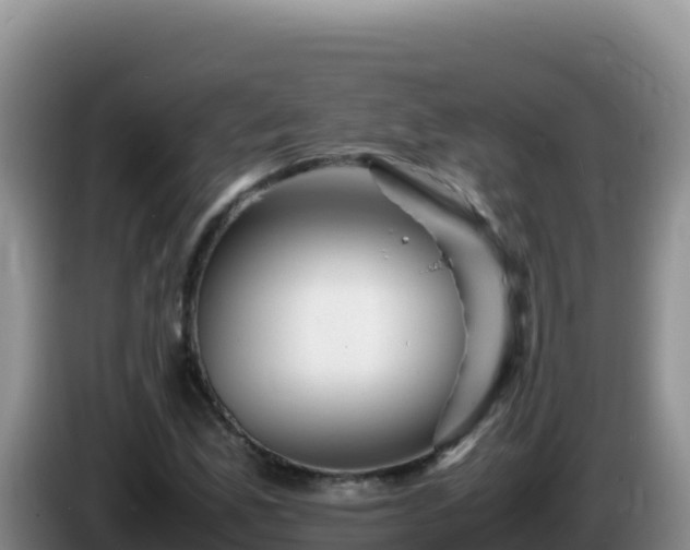 X0000086261165200704051256