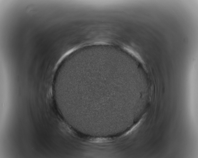 X0000086261166200704051256