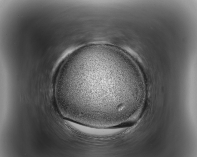 X0000086261167200704051256