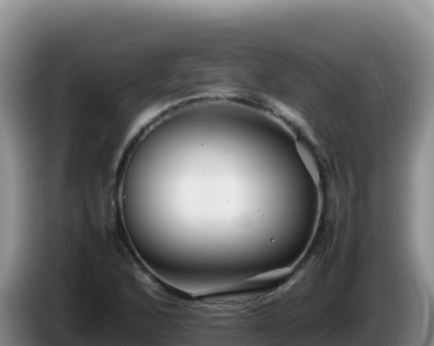 X0000086261168200704051256