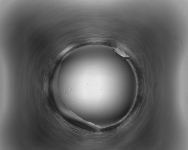 X0000086261169200704051256