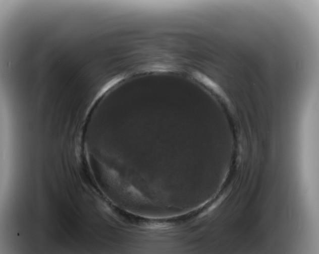 X0000086261170200704051256