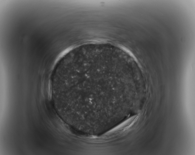 X0000086261171200704051256