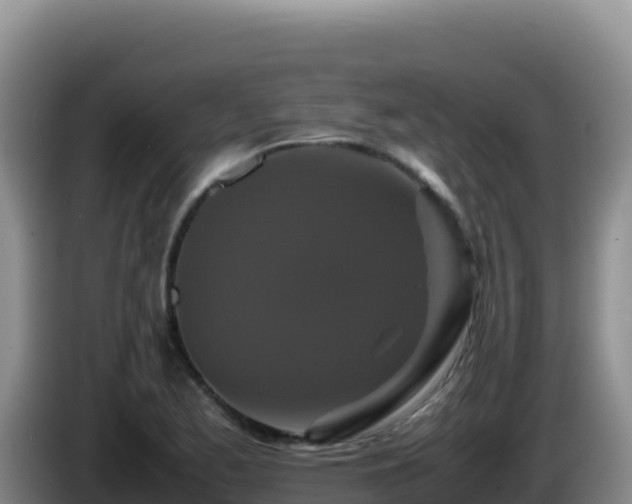 X0000086261173200704051256
