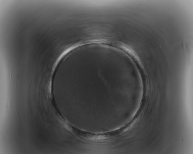 X0000086261174200704051256