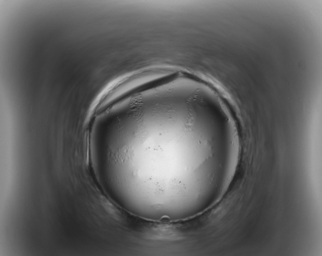 X0000086261175200704051256