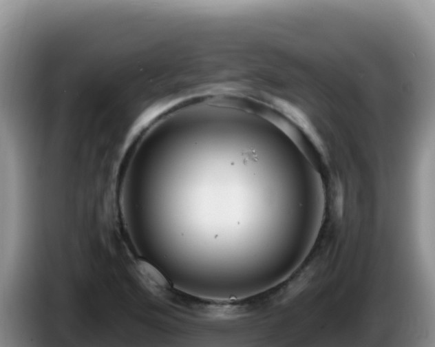 X0000086261176200704051256
