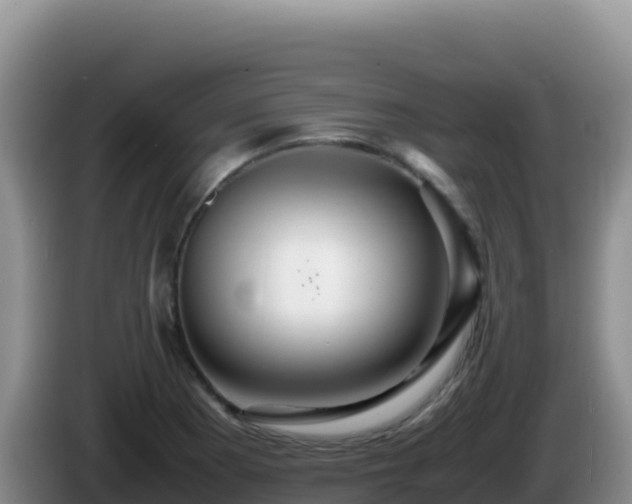 X0000086261177200704051256