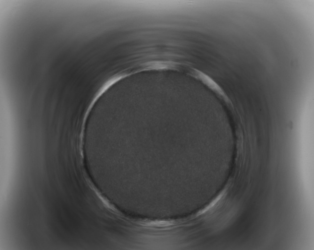 X0000086261178200704051256