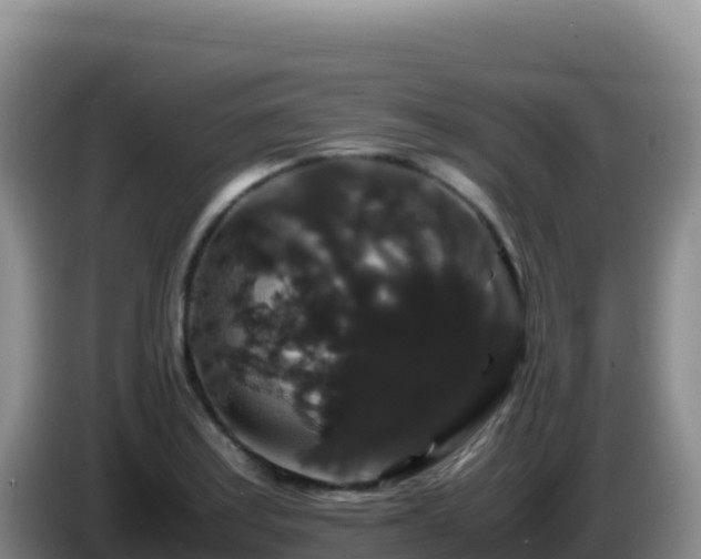 X0000086261179200704051256