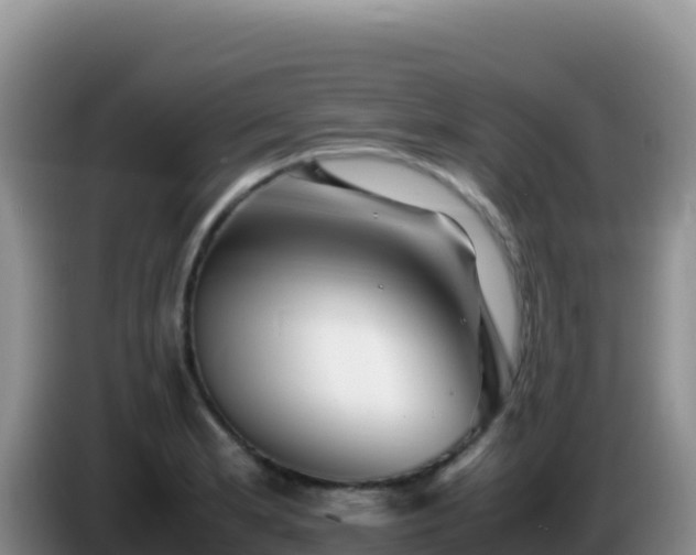 X0000086261181200704051256